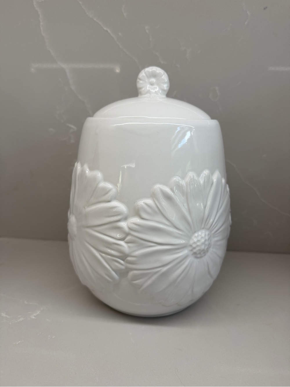 Daisy White Glossy Ceramic Jar with Raised Floral Motif